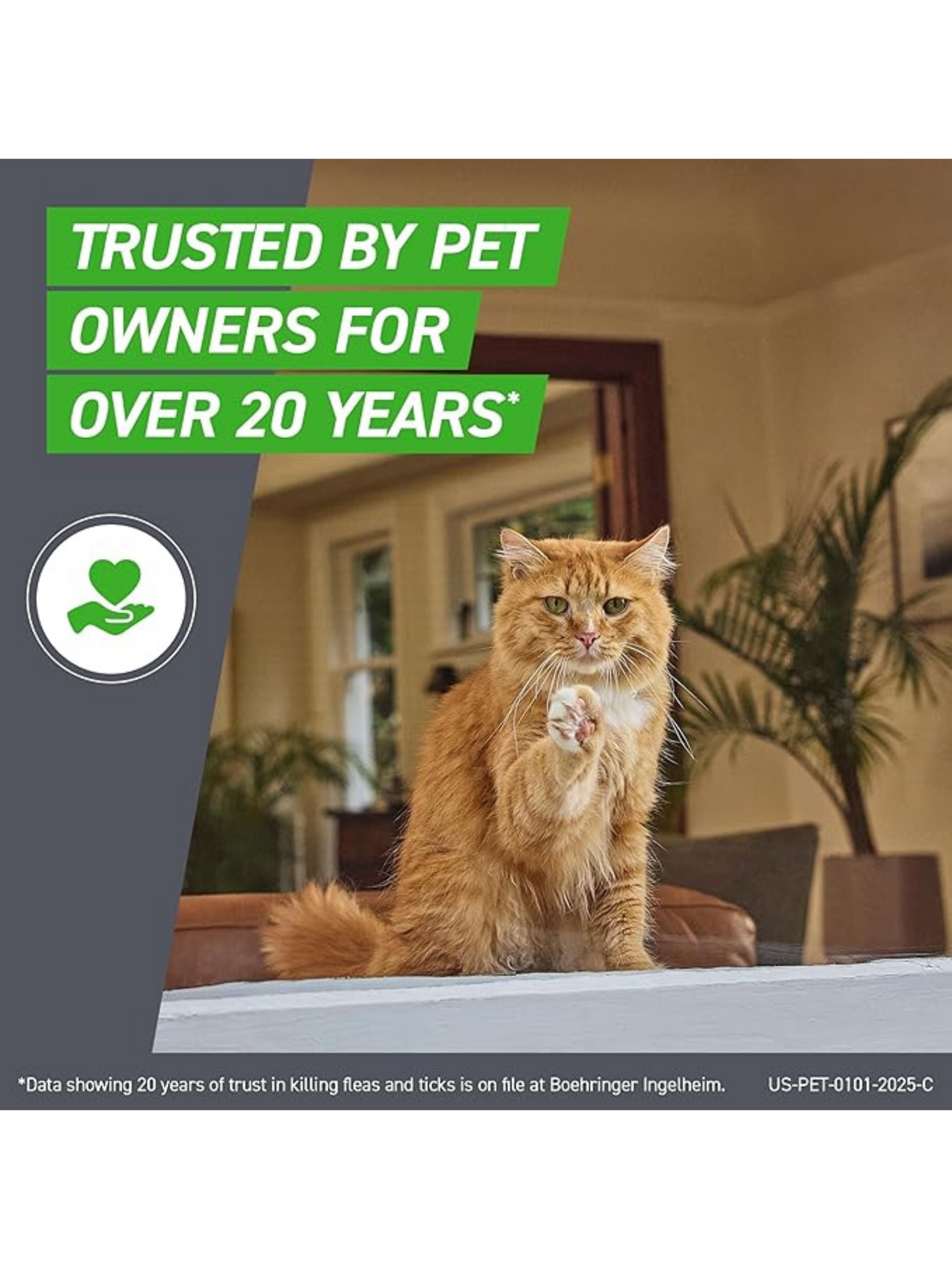 Frontline Plus for Cats (Over 1.5 lbs) – Flea & Tick Treatment | 3-Month Supply