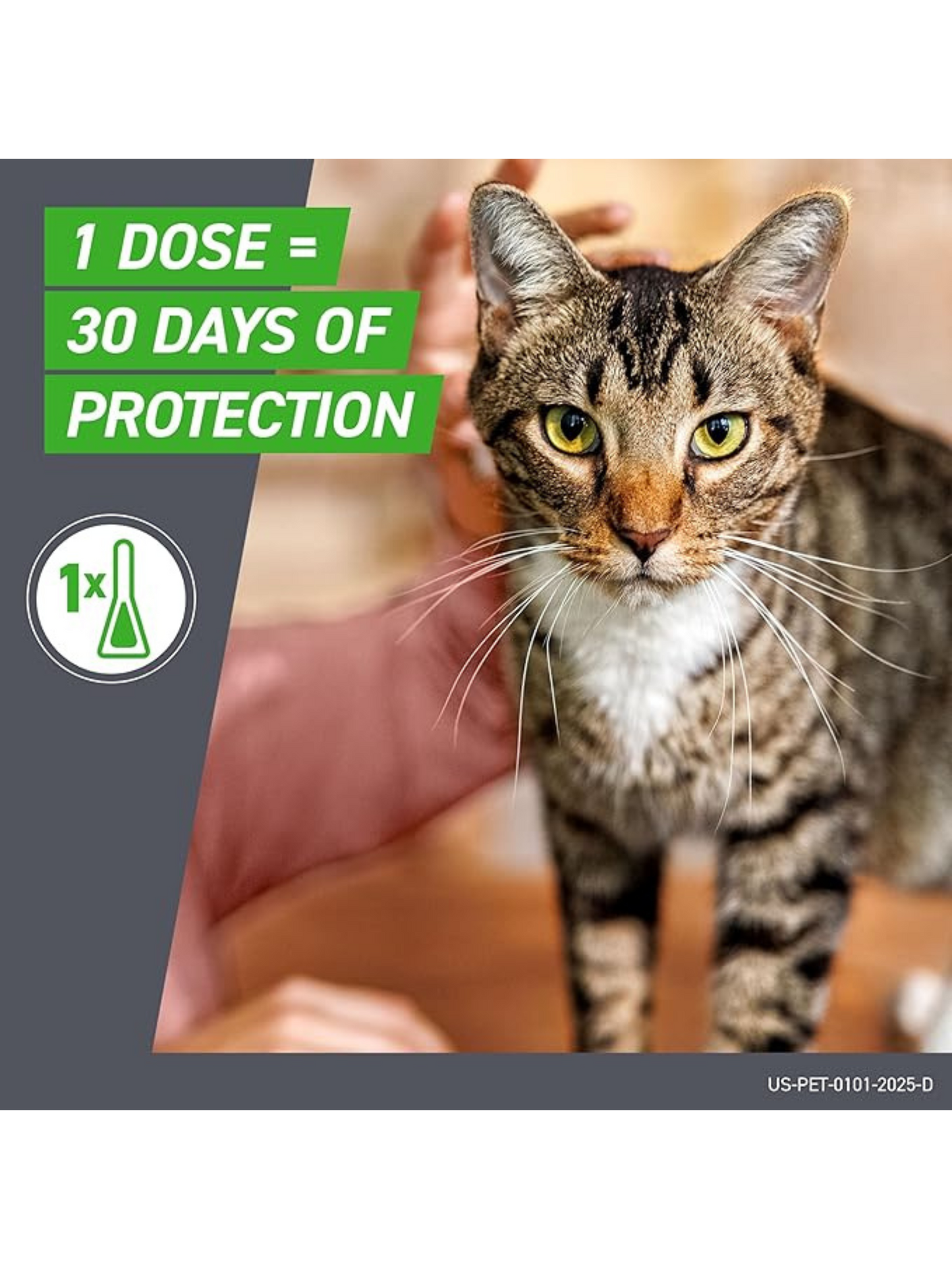 Frontline Plus for Cats (Over 1.5 lbs) – Flea & Tick Treatment | 3-Month Supply
