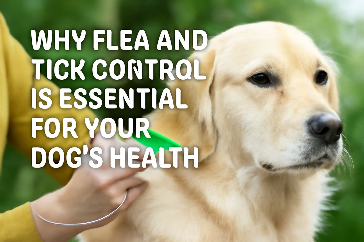 Why Flea and Tick Control is Essential for Your Dog’s Health