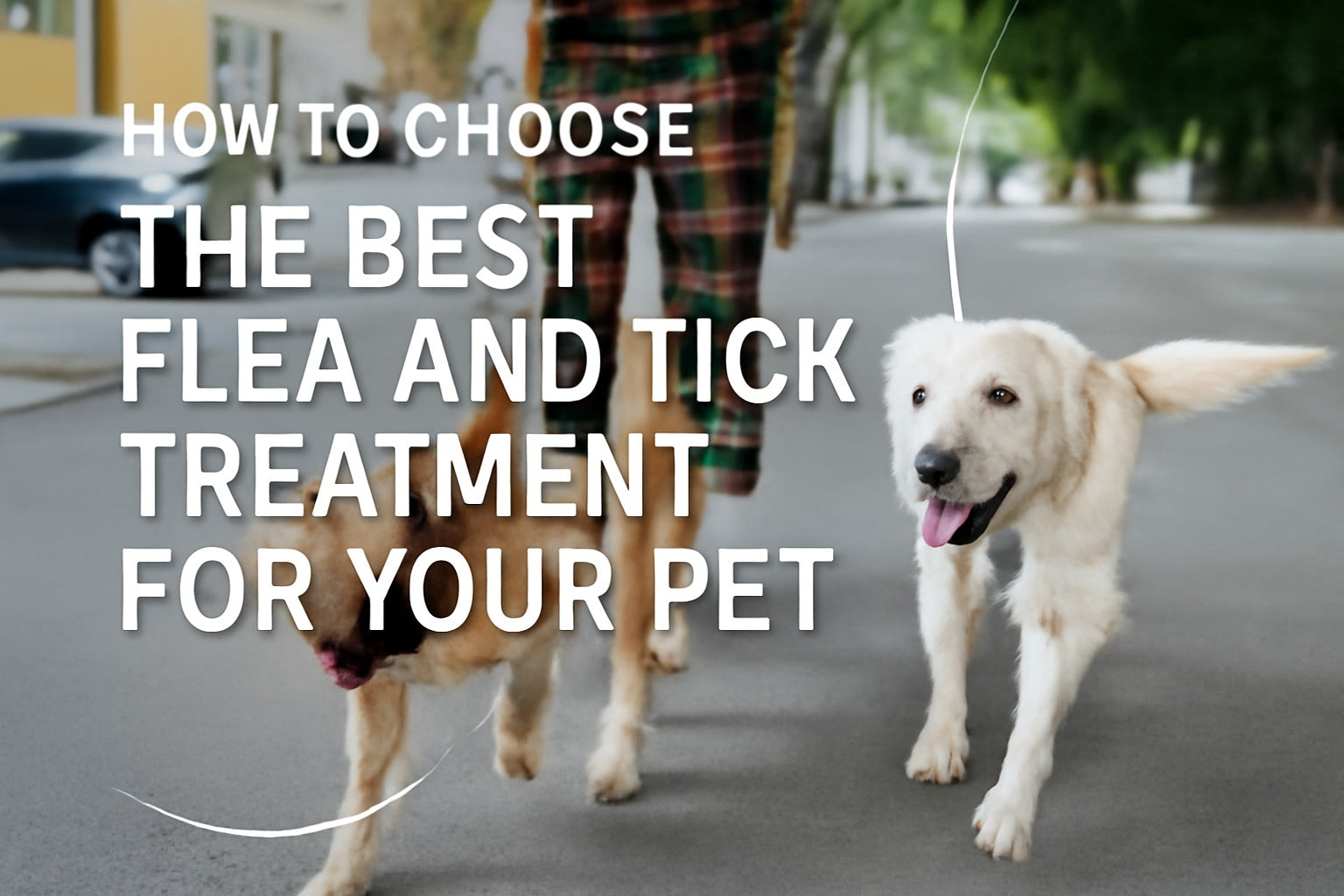 How to Choose the Best Flea and Tick Treatment for Your Pet
