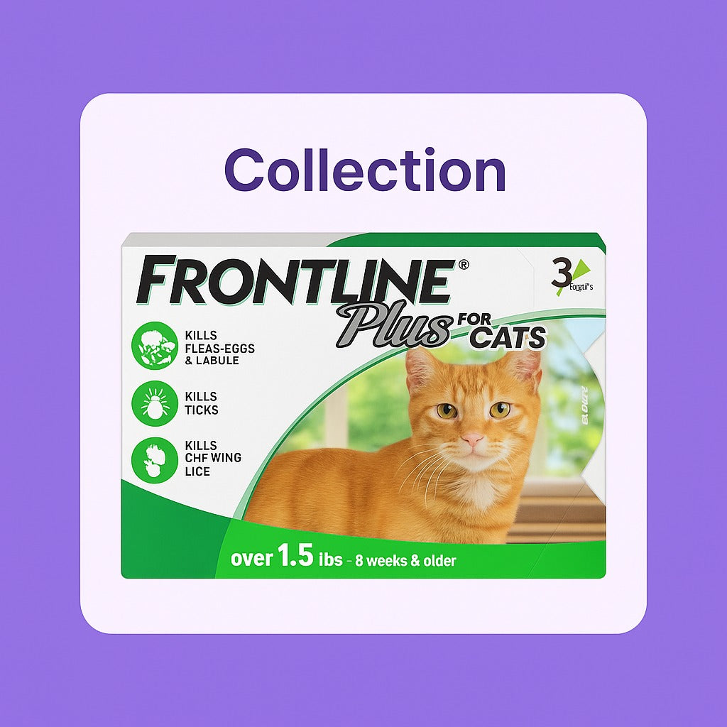 For Cats