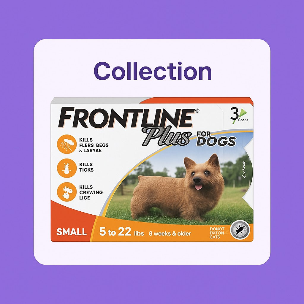 For Dogs