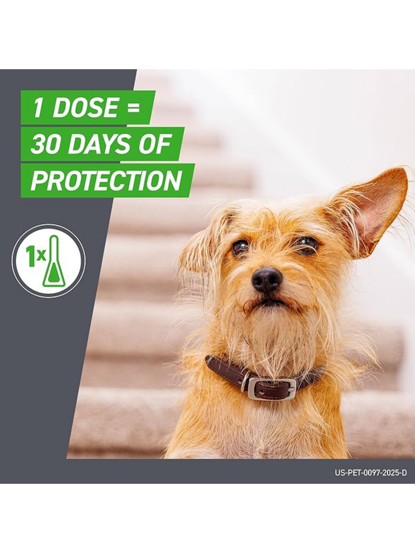 Frontline Plus for Large Dogs (45–88 lbs) – Flea & Tick Treatment | 3-Month Supply